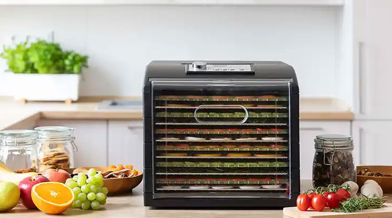 میوه و سبزی خشک کن سنکور مدل SFD 6601BK