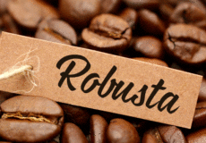 قهوه عربیکا Arabica Coffee چیست؟