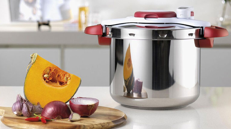 زودپز تفال مدل P4624831