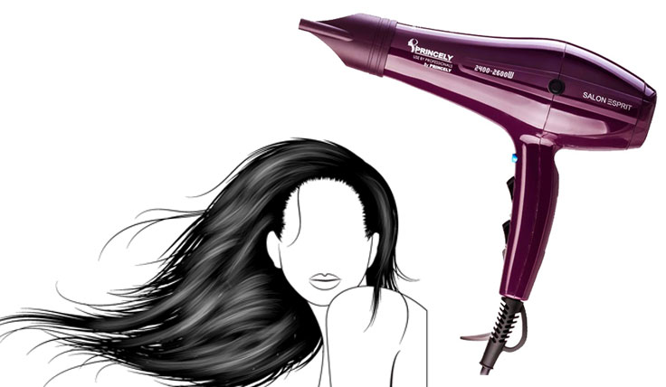 سشوار حرفه ای پرنسلی مدل pr250at