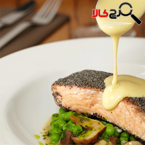 گوشت کوب برقی گاستروبک مدل 40229 گوشت کوب برقی گاستروبک مدل 40229